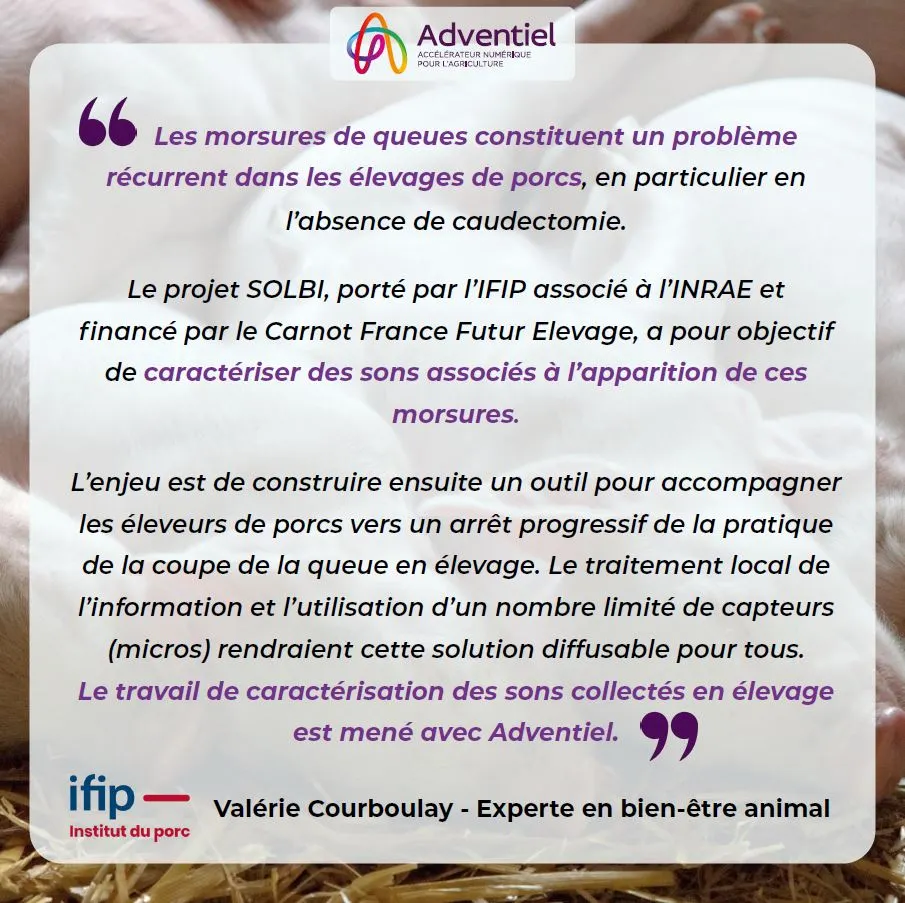 Témoignage-IFIP-Adventiel