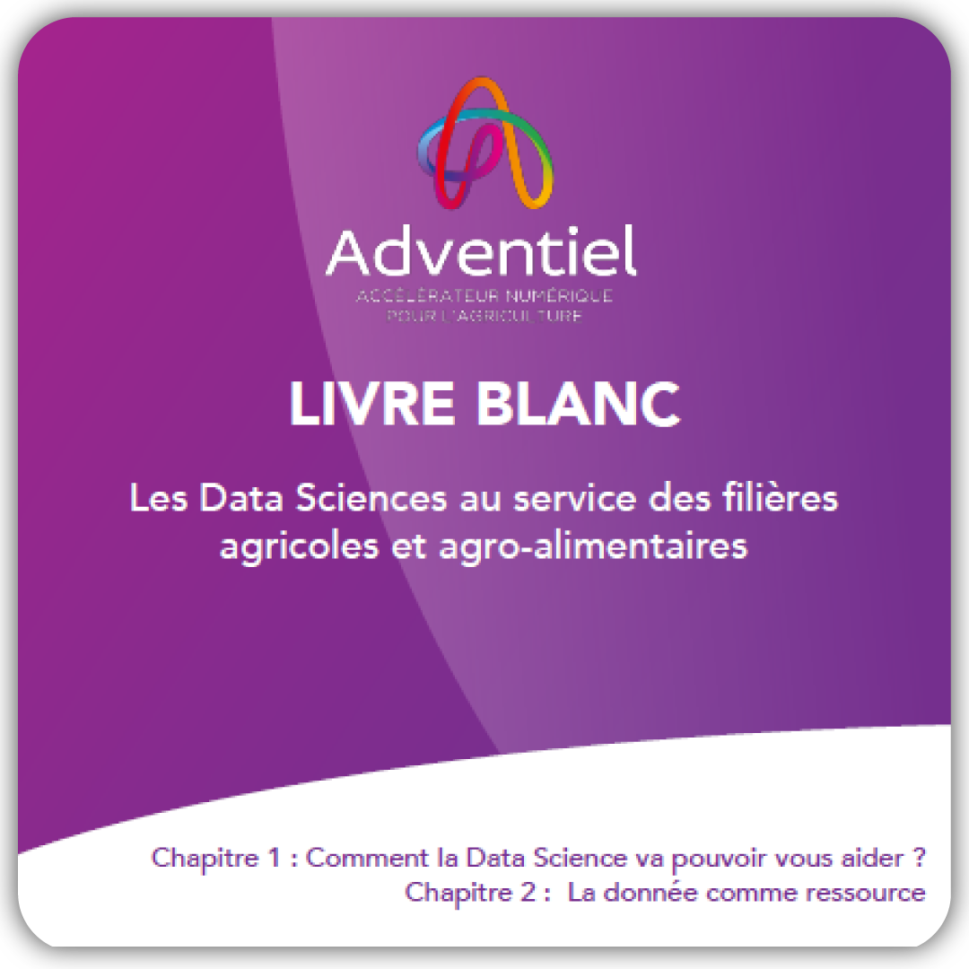 Livre blanc Data Science Volume 1