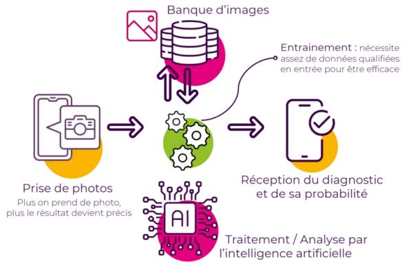 Reconnaissance d’image, IA et applications agri-agro