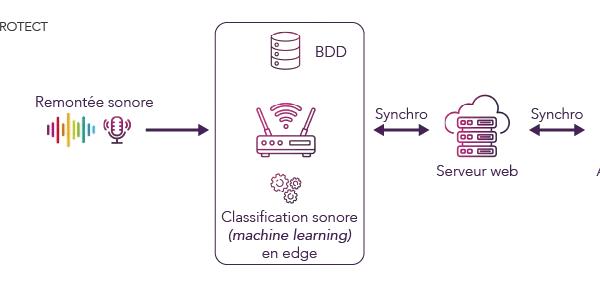 Comment le monitoring sonore améliore le bien-être animal ?