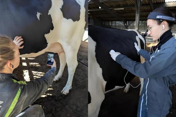 VetLinkPlatform – Solution de télémédecine vétérinaire