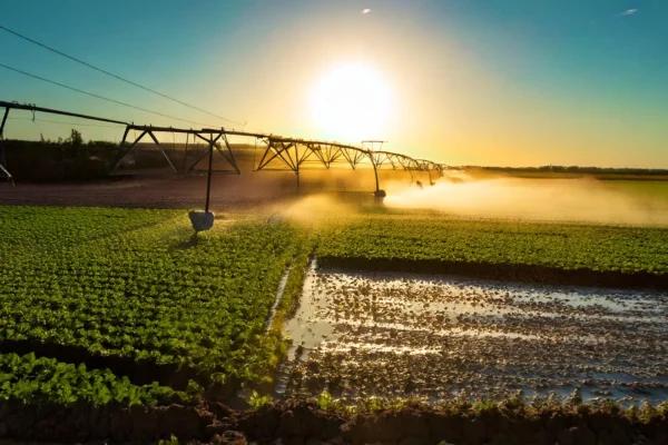 La gestion de l’eau en agriculture : le rôle clé des solutions numériques